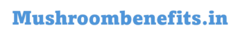 mushroombenefits logo removebg preview